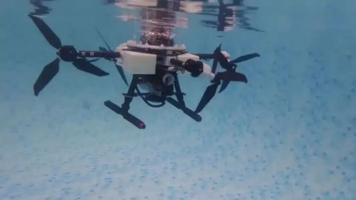 Этот дрон может летать как птица и плавать как рыба | New-Science.ru