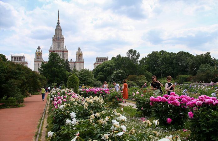 «Мы избавились от проклятия выходных»: москвичей всю неделю ожидает ясная и жаркая погода