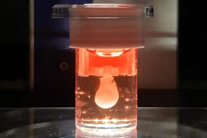 Напечатанный на 3D-принтере желудочек сердца работает автономно более 3 месяцев | New-Science.ru