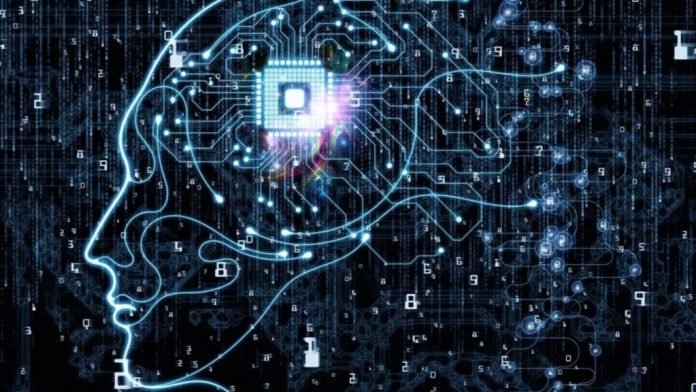 Исследование показало, что искусственный мозг, выращенный в лабораториях, может улучшить обработку хронологических данных | New-Science.ru