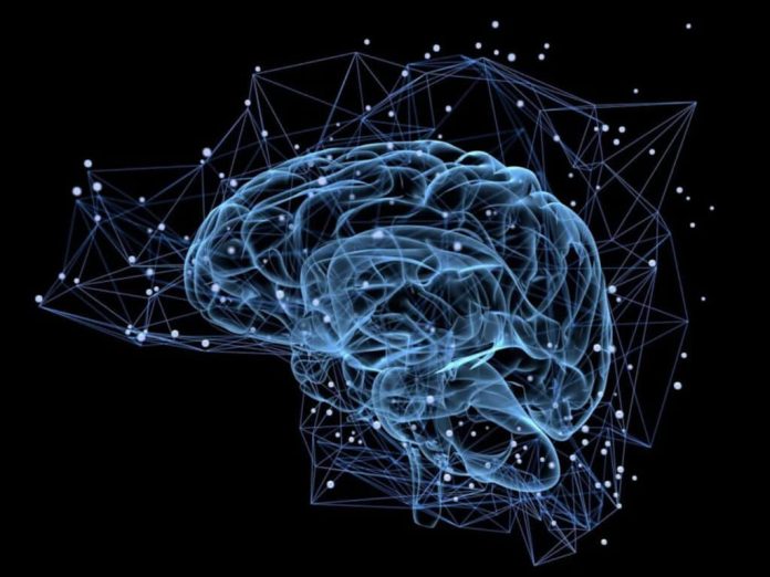 ИИ от Meta может анализировать ваши мозговые волны и «читать» то, что вы слышите | New-Science.ru