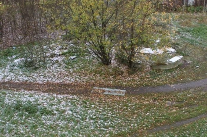 Синоптик Леус раскрыл, когда в Центральной России выпадет первый снег
