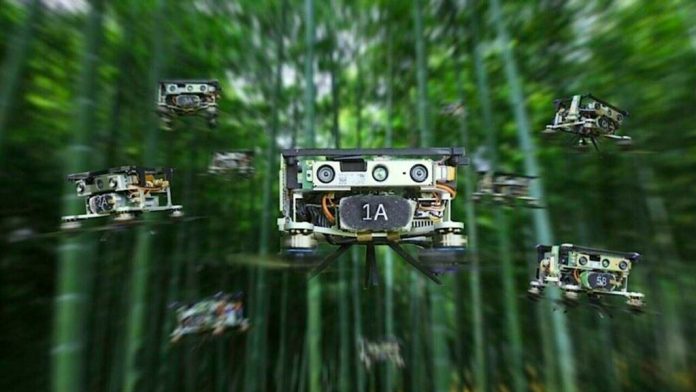 Рой автономных дронов способен ориентироваться в бамбуковом лесу | New-Science.ru