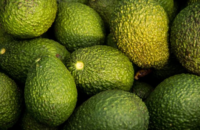 Импортеры предупредили о трудностях с поставками авокадо из Израиля