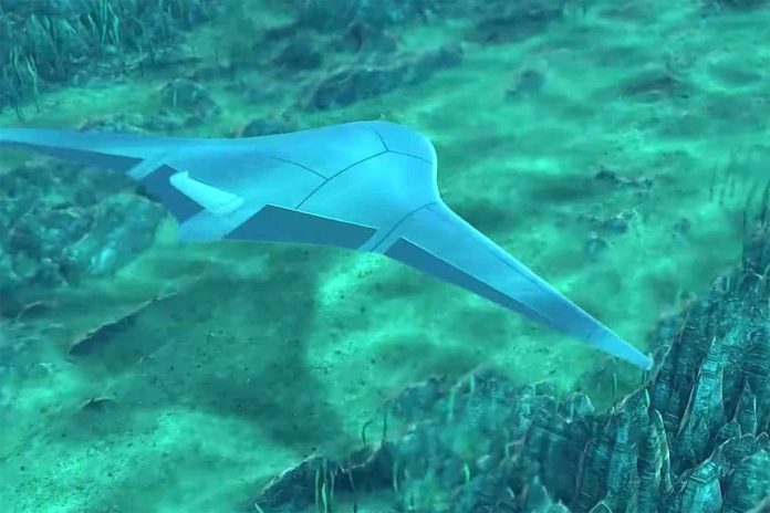 Программа Manta Ray: беспилотные подводные аппараты, вдохновленные скатом манта | New-Science.ru