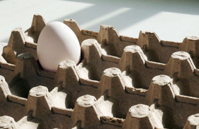 ФАС возбудила дела против нескольких производителей куриных яиц