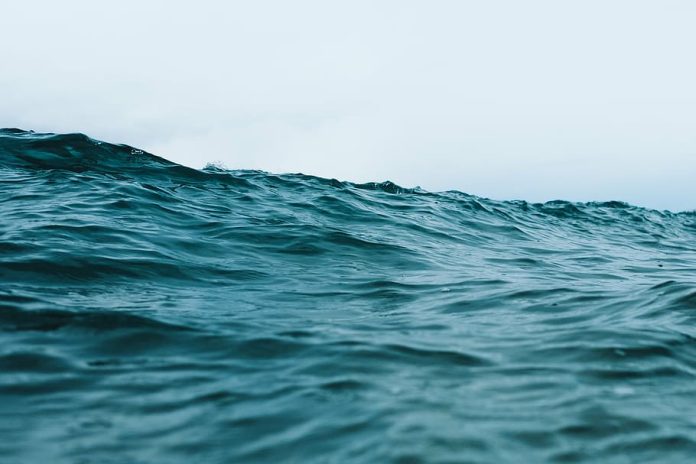 Этот стартап хочет нанести на карту все еще неизвестное дно океана | New-Science.ru