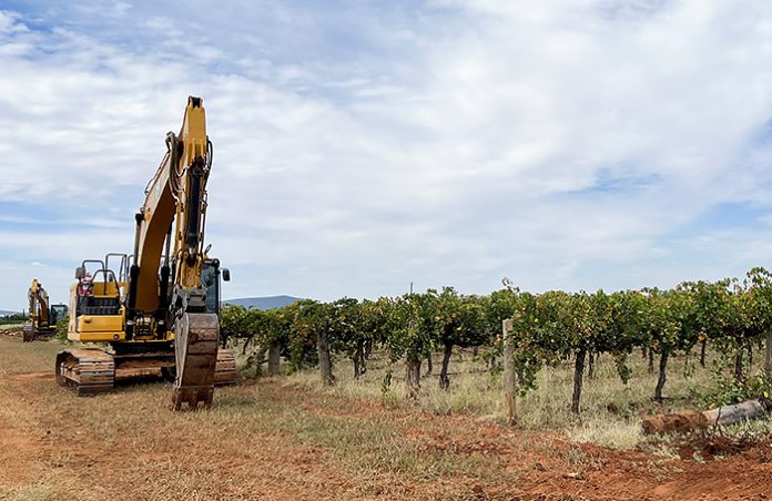 Bloomberg: фермерам приходится уничтожать свои виноградники