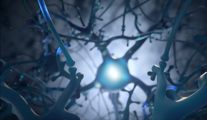 Что известно о новом мозговом имплантате, испытанном Neuralink? | New-Science.ru