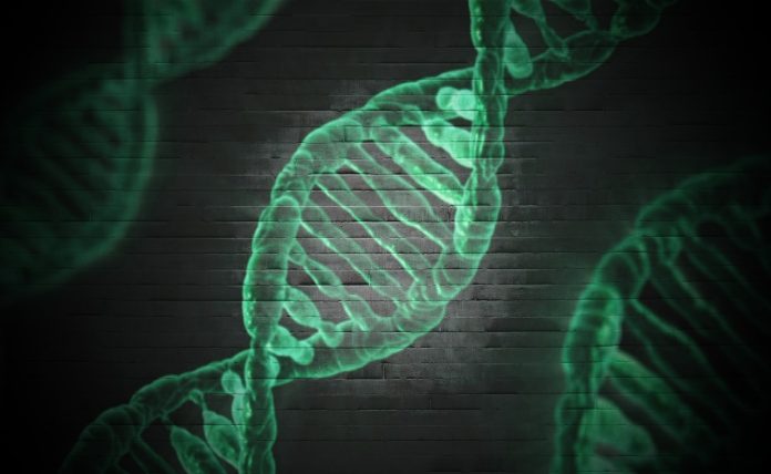 ДНК: французский стартап будет продавать революционный принтер | New-Science.ru