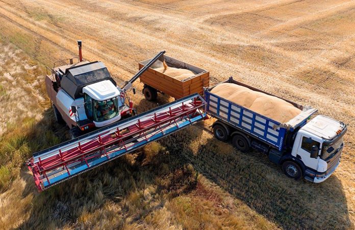 МВЗ: Россия в 2024-м может экспортировать рекордные 53 млн тонн пшеницы